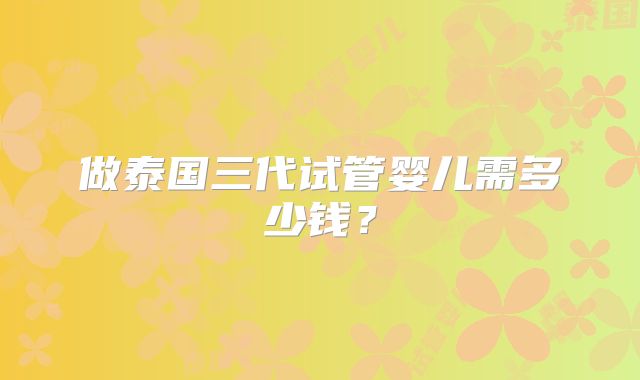 做泰国三代试管婴儿需多少钱?