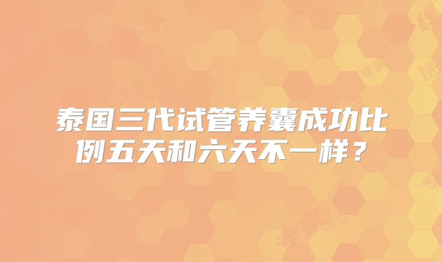 泰国三代试管养囊成功比例五天和六天不一样?