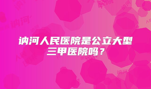 讷河人民医院是公立大型三甲医院吗?