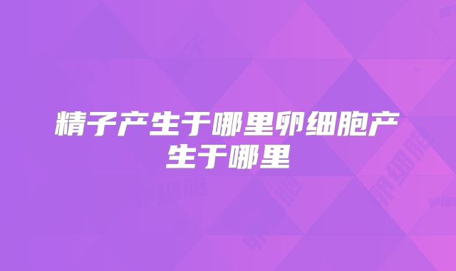 精子产生于哪里卵细胞产生于哪里