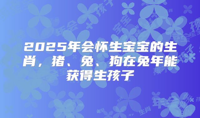 2025年会怀生宝宝的生肖，猪、兔、狗在兔年能获得生孩子