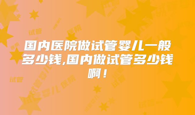 国内医院做试管婴儿一般多少钱,国内做试管多少钱啊！