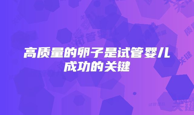 高质量的卵子是试管婴儿成功的关键