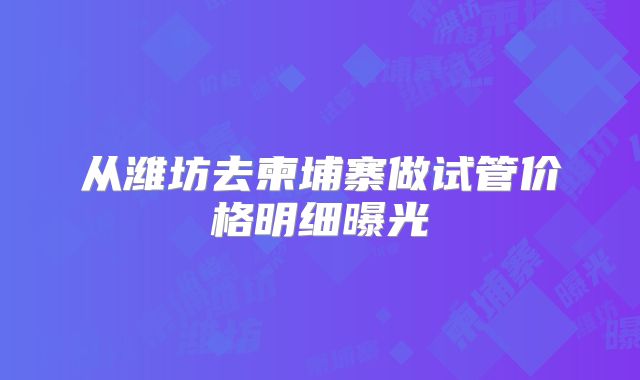 从潍坊去柬埔寨做试管价格明细曝光