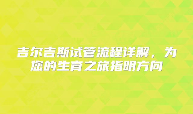 吉尔吉斯试管流程详解，为您的生育之旅指明方向
