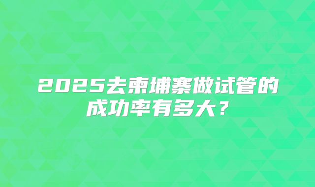 2025去柬埔寨做试管的成功率有多大?