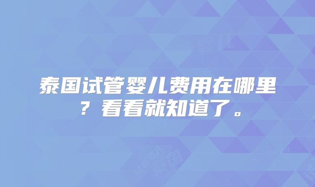 泰国试管婴儿费用在哪里？看看就知道了。