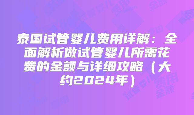 泰国试管婴儿费用详解：全面解析做试管婴儿所需花费的金额与详细攻略（大约2024年）