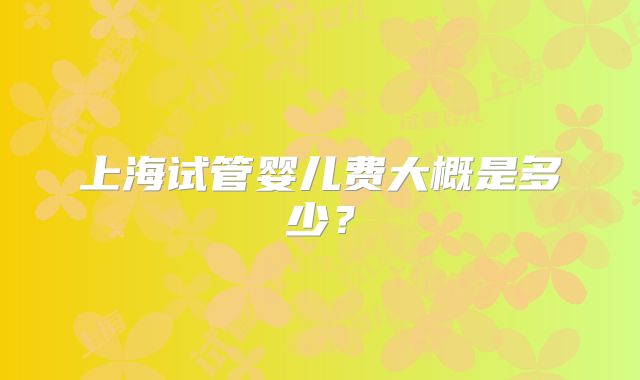 上海试管婴儿费大概是多少？