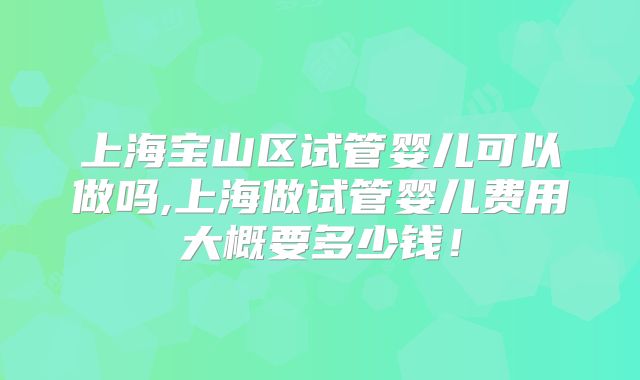 上海宝山区试管婴儿可以做吗,上海做试管婴儿费用大概要多少钱！