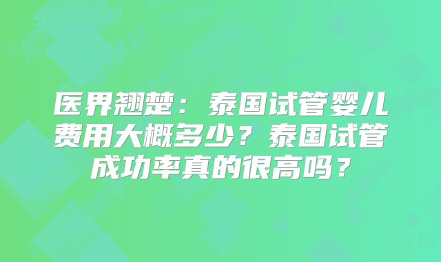 医界翘楚:泰国试管婴儿费用大概多少?泰国试管成功率真的很高吗?