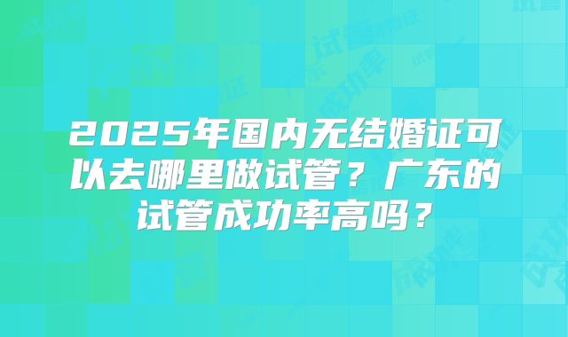 2025年国内无结婚证可以去哪里做试管？广东的试管成功率高吗？