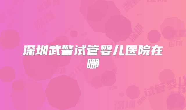 深圳武警试管婴儿医院在哪