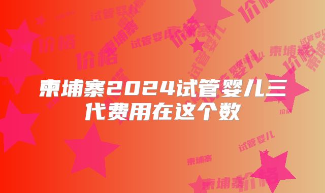 柬埔寨2024试管婴儿三代费用在这个数