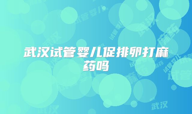 武汉试管婴儿促排卵打麻药吗