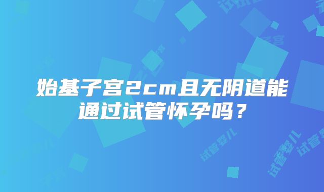始基子宫2cm且无阴道能通过试管怀孕吗？