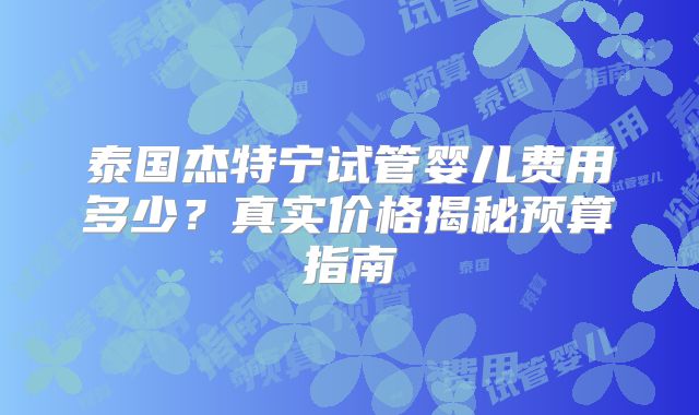 泰国杰特宁试管婴儿费用多少？真实价格揭秘预算指南
