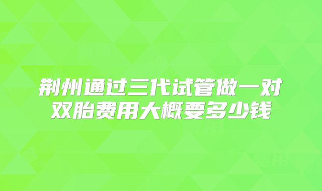 荆州通过三代试管做一对双胎费用大概要多少钱