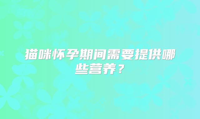 猫咪怀孕期间需要提供哪些营养？
