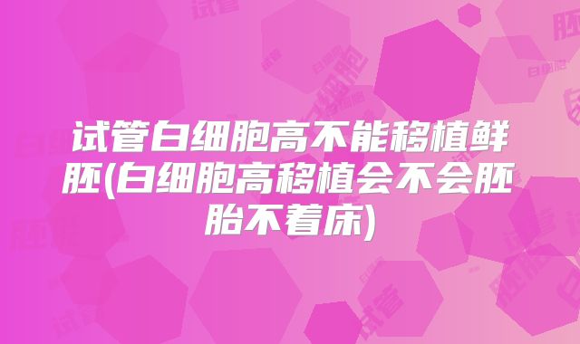 试管白细胞高不能移植鲜胚(白细胞高移植会不会胚胎不着床)