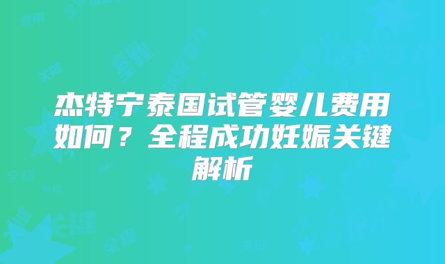 杰特宁泰国试管婴儿费用如何？全程成功妊娠关键解析
