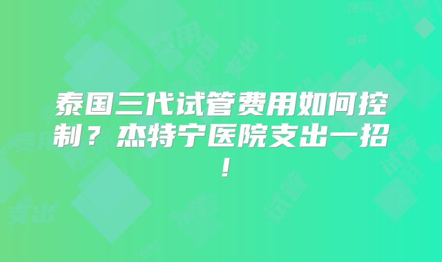 泰国三代试管费用如何控制？杰特宁医院支出一招！