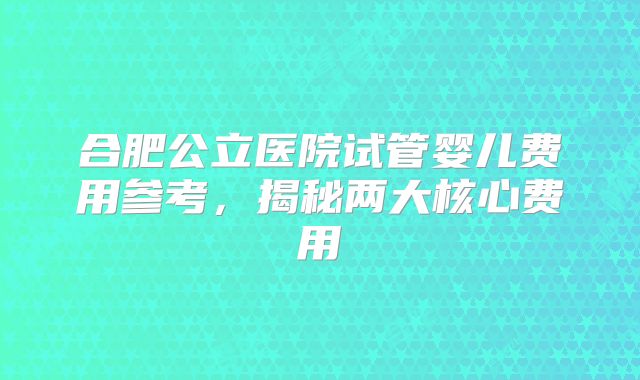 合肥公立医院试管婴儿费用参考，揭秘两大核心费用