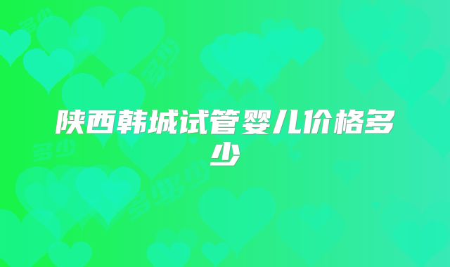 陕西韩城试管婴儿价格多少