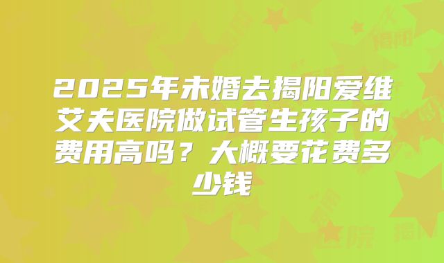 2025年未婚去揭阳爱维艾夫医院做试管生孩子的费用高吗？大概要花费多少钱