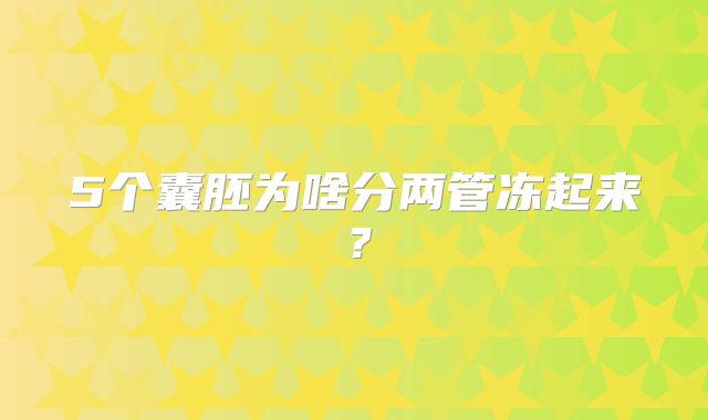5个囊胚为啥分两管冻起来?