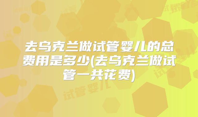 去乌克兰做试管婴儿的总费用是多少(去乌克兰做试管一共花费)