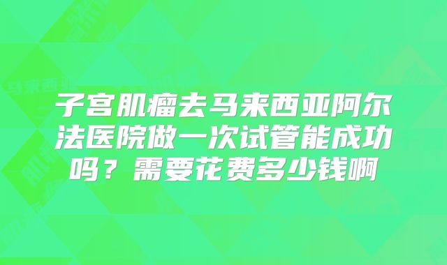 子宫肌瘤去马来西亚阿尔法医院做一次试管能成功吗?需要花费多少钱啊