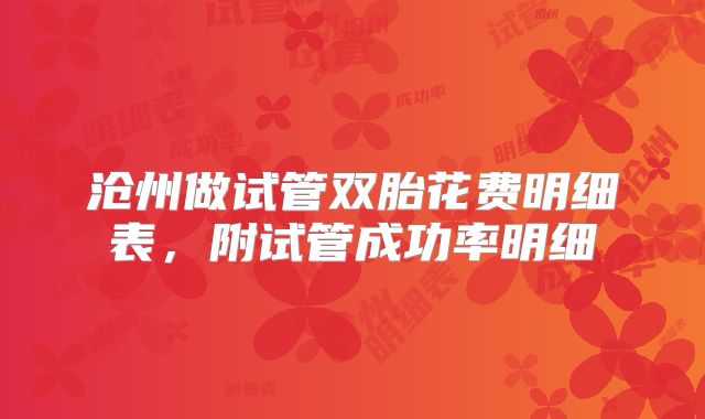 沧州做试管双胎花费明细表,附试管成功率明细