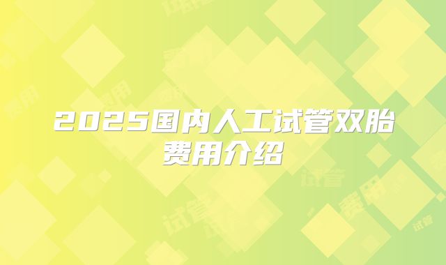 2025国内人工试管双胎费用介绍