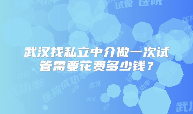 武汉找私立中介做一次试管需要花费多少钱？