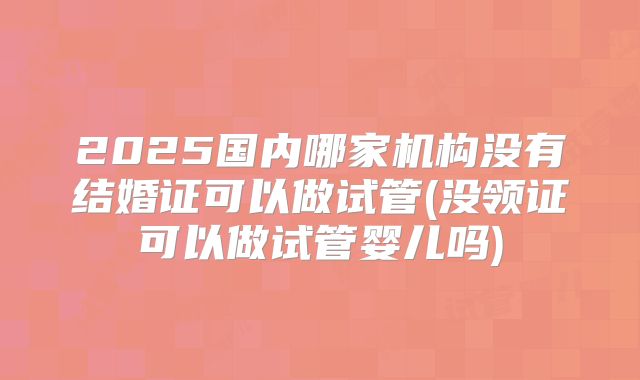 2025国内哪家机构没有结婚证可以做试管(没领证可以做试管婴儿吗)