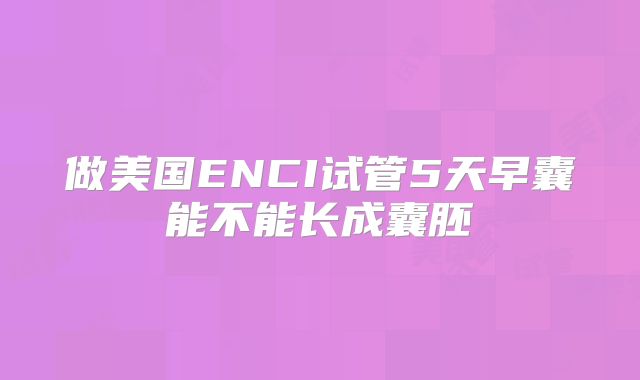 做美国ENCI试管5天早囊能不能长成囊胚