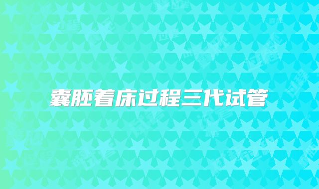 囊胚着床过程三代试管