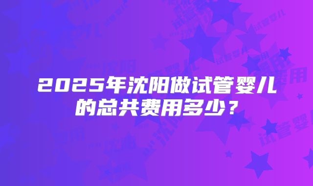 2025年沈阳做试管婴儿的总共费用多少？