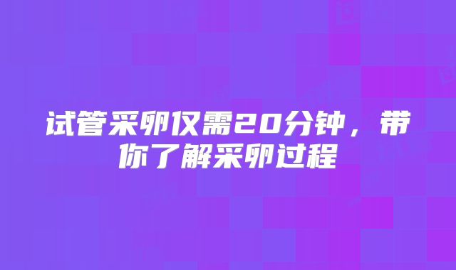 试管采卵仅需20分钟，带你了解采卵过程
