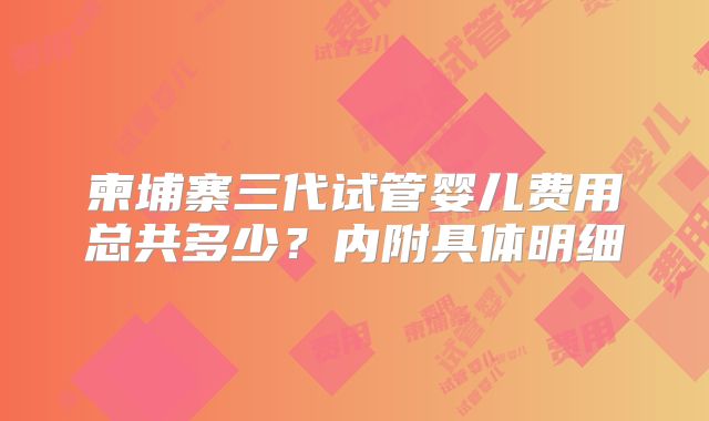 柬埔寨三代试管婴儿费用总共多少？内附具体明细
