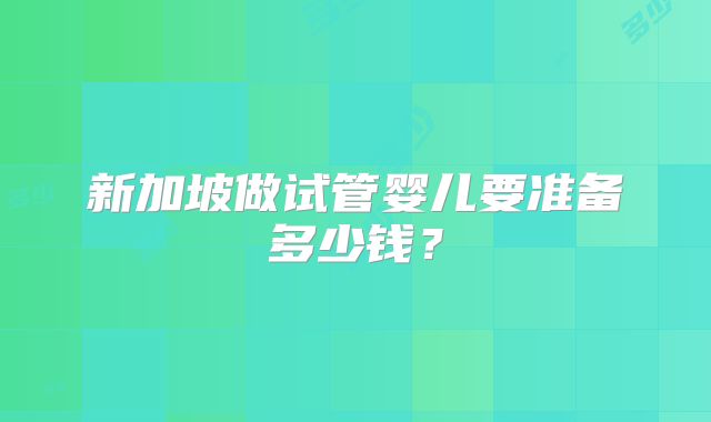 新加坡做试管婴儿要准备多少钱？