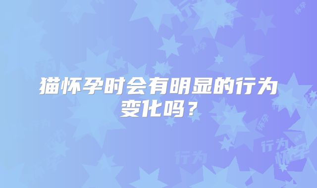 猫怀孕时会有明显的行为变化吗?