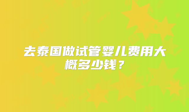 去泰国做试管婴儿费用大概多少钱？