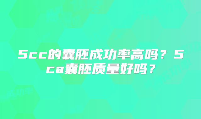 5cc的囊胚成功率高吗？5ca囊胚质量好吗？