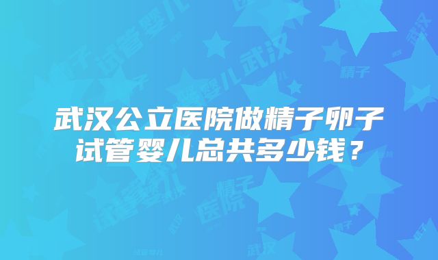 武汉公立医院做精子卵子试管婴儿总共多少钱？
