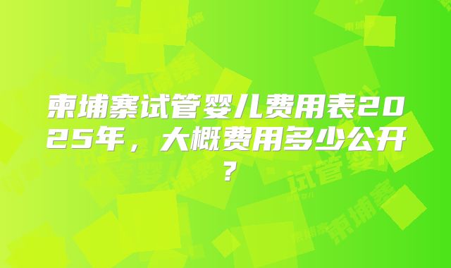 柬埔寨试管婴儿费用表2025年，大概费用多少公开？