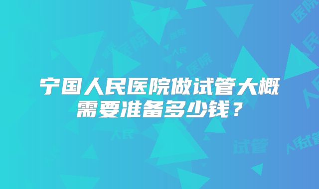 宁国人民医院做试管大概需要准备多少钱?