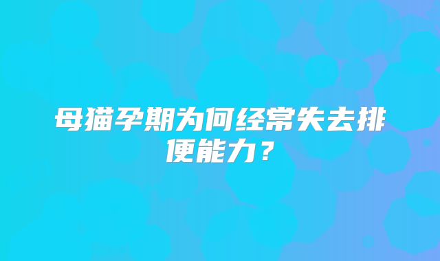 母猫孕期为何经常失去排便能力？