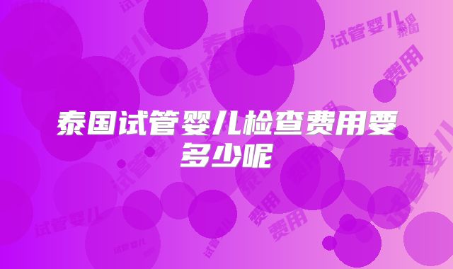 泰国试管婴儿检查费用要多少呢